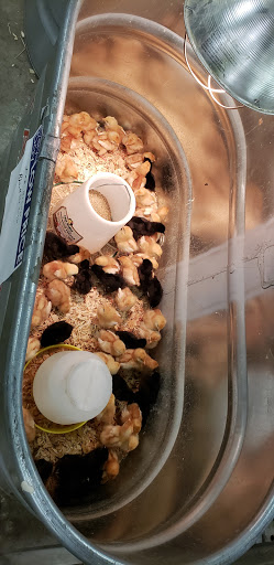 Department Store «Rural King», reviews and photos, 2985 N National Rd, Columbus, IN 47201, USA