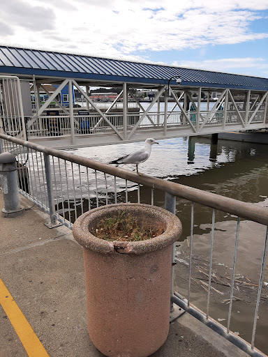 Coffee Shop «Panama Bay Coffee», reviews and photos, 289 Mare Island Way, Vallejo, CA 94590, USA