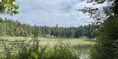 Gazzam Lake Nature Preserve