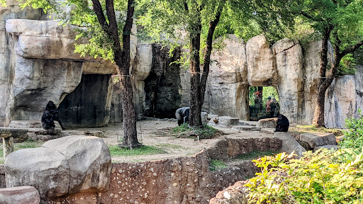 World of Primates at Fort Worth Zoo