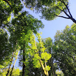 Photo n°5 de l'avis de Armando.a fait le 05/08/2022 à 18:37 sur le  Baita La Faggeta à Soriano nel Cimino