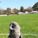 Photo n°5 de l'avis de Henry.t fait le 14/10/2018 à 10:28 sur le  Gasthaus Langenstein à Waldshut-Tiengen