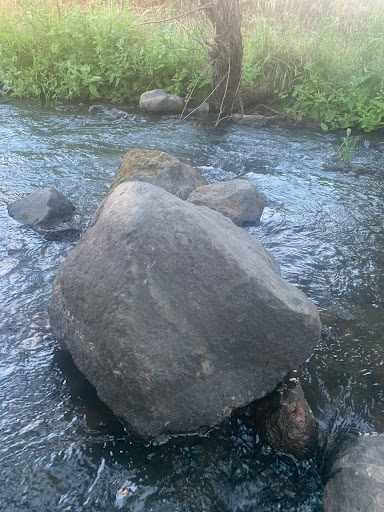 Health Club «24 Hour Fitness», reviews and photos, 336 N Sunrise Ave, Roseville, CA 95661, USA