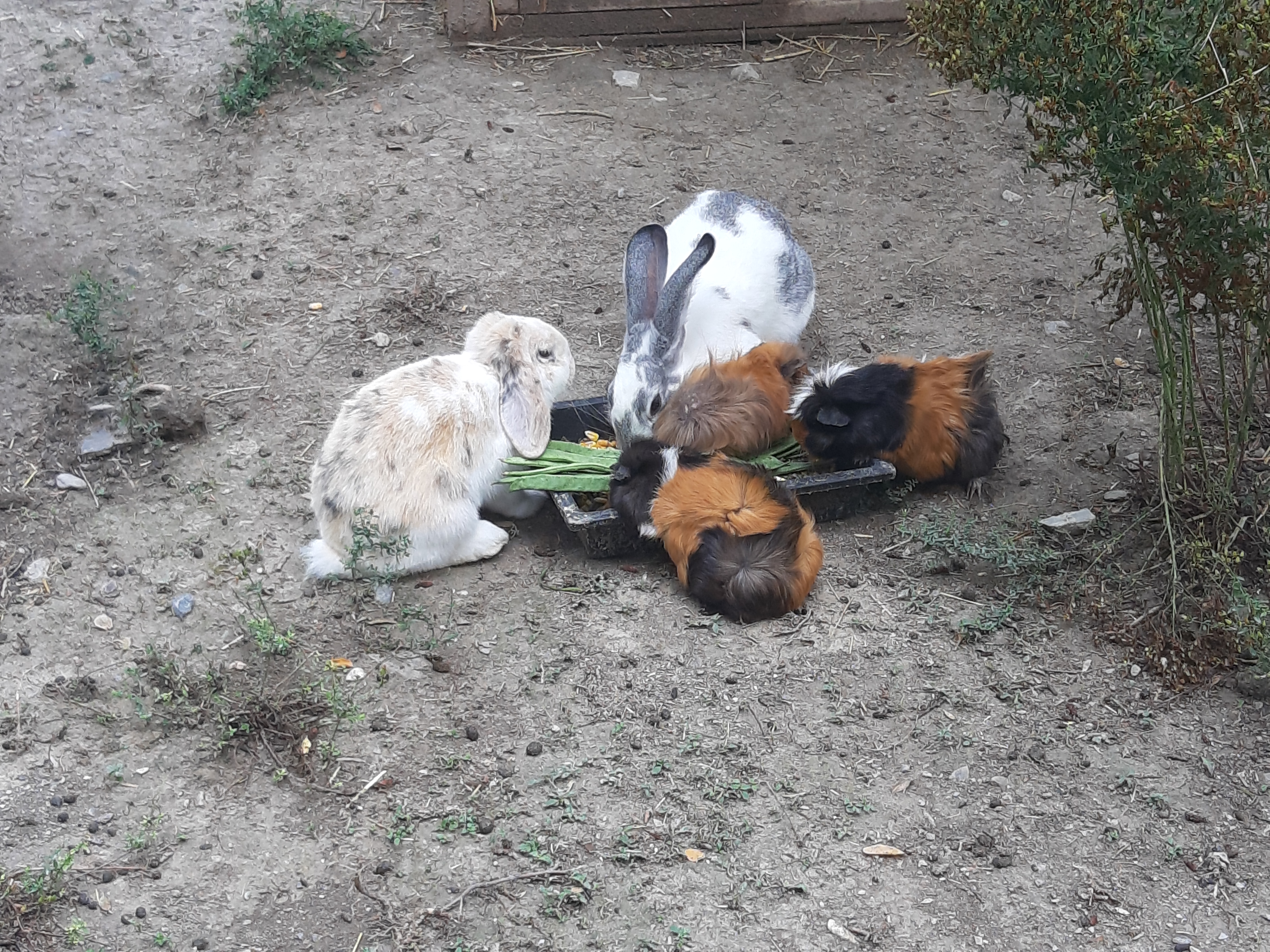 Photo n° 8 de l'avis de Domy. fait le 22/08/2019 à 22:17
