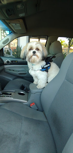 Car Wash «Zeavy Car Wash», reviews and photos, 520 S Victory Blvd, Burbank, CA 91502, USA