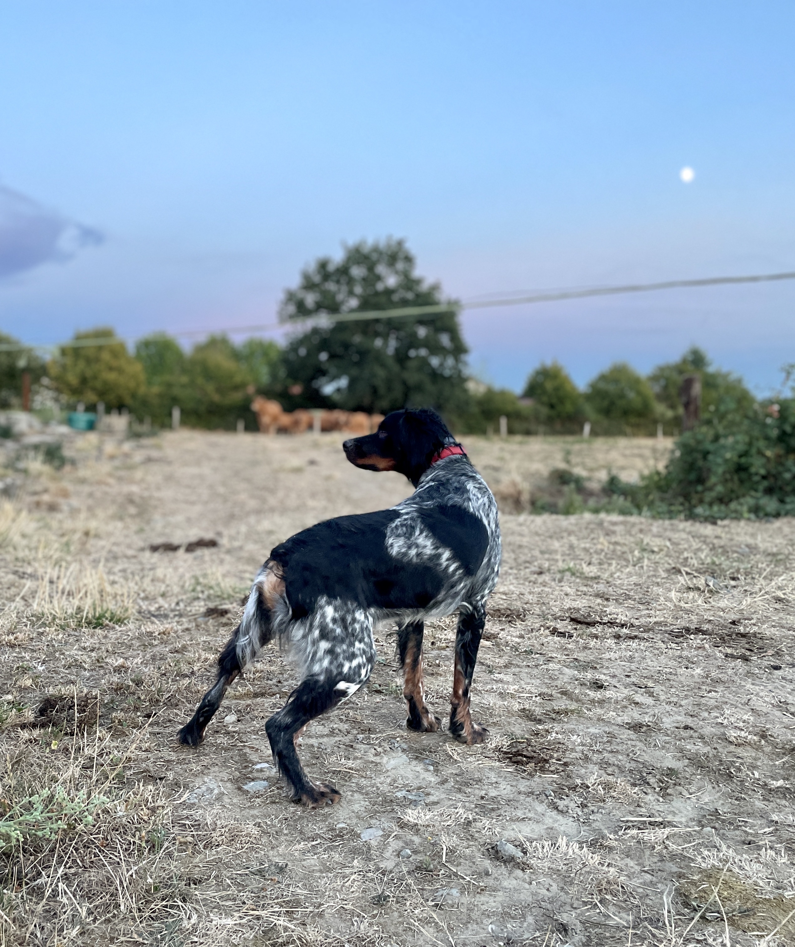 Photo n° 2 de l'avis de Clément.a fait le 27/08/2022 à 20:48