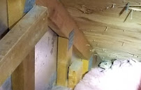 Elite animal control - Photo 7 - Car repair in , Denver