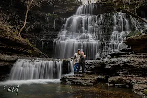 Short Springs Natural Area image