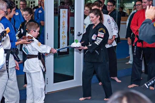 American Martial Arts Academy image