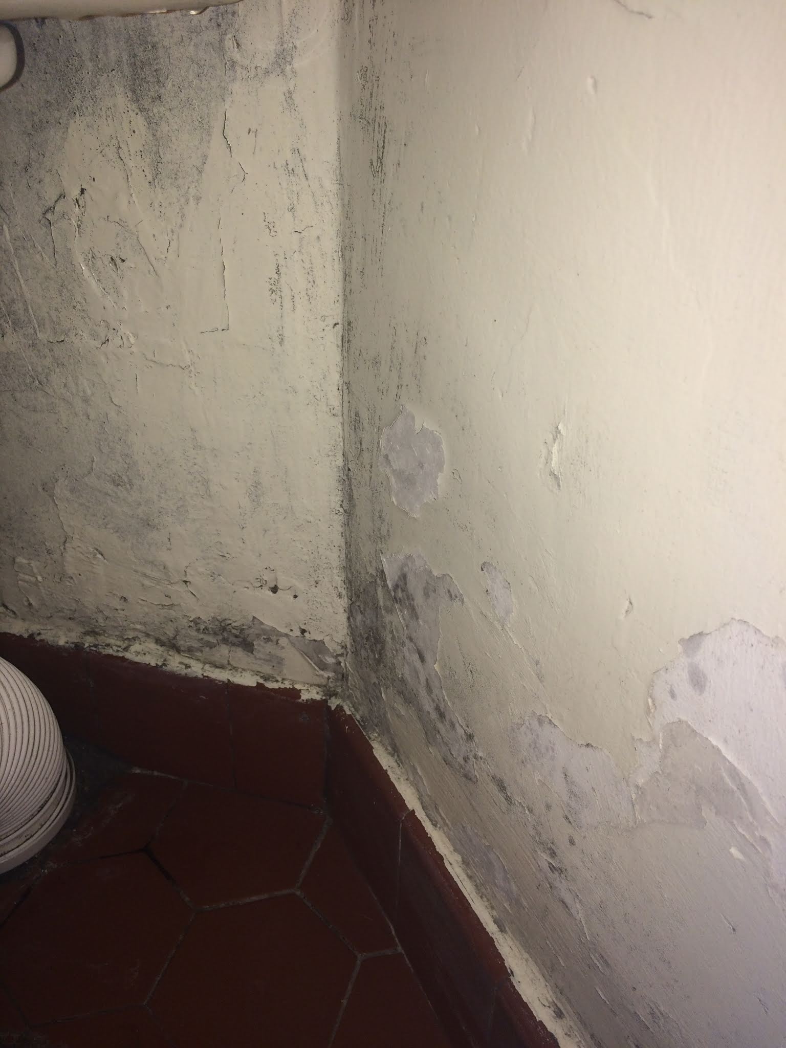 Photo n° 1 de l'avis de Pierre.o fait le 05/11/2018 à 00:03