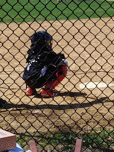 Park «Hayes Park», reviews and photos, 2936 W 85th St, Chicago, IL 60652, USA