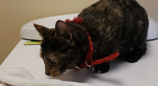 7662 Goodwood Blvd, Baton Rouge, LA 70806, USA