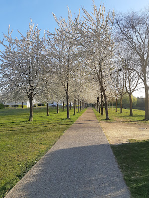 Parc de la Vallée Des Vignes à Amiens