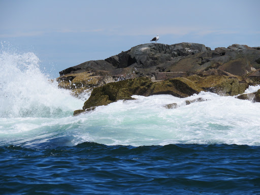 Sightseeing Tour Agency «Lulu Lobster Boat Ride», reviews and photos, 55 West St, Bar Harbor, ME 04609, USA
