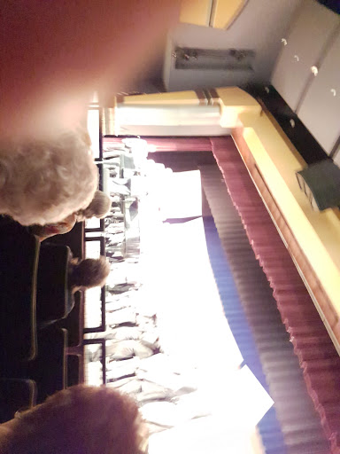 Performing Arts Theater «Timberlane Performing Arts Center», reviews and photos, 40 Greenough Rd, Plaistow, NH 03865, USA