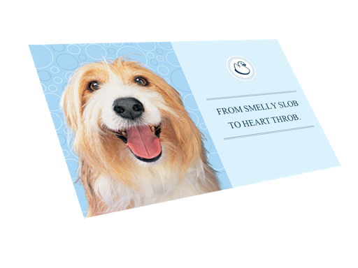 Commercial Printer «Taradel, LLC & EveryDoorDirectMail.com», reviews and photos, 4805 Lake Brook Dr, Glen Allen, VA 23060, USA