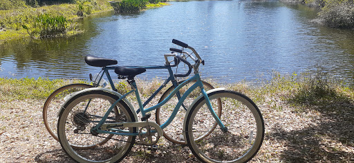 Park «Kapok Park», reviews and photos, 2950 Glen Oak Ave N, Clearwater, FL 33759, USA