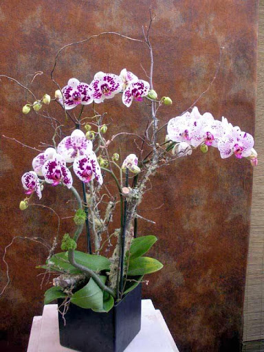 Florist «Westmoor Florist», reviews and photos, 1225 S Mary Ave, Sunnyvale, CA 94087, USA