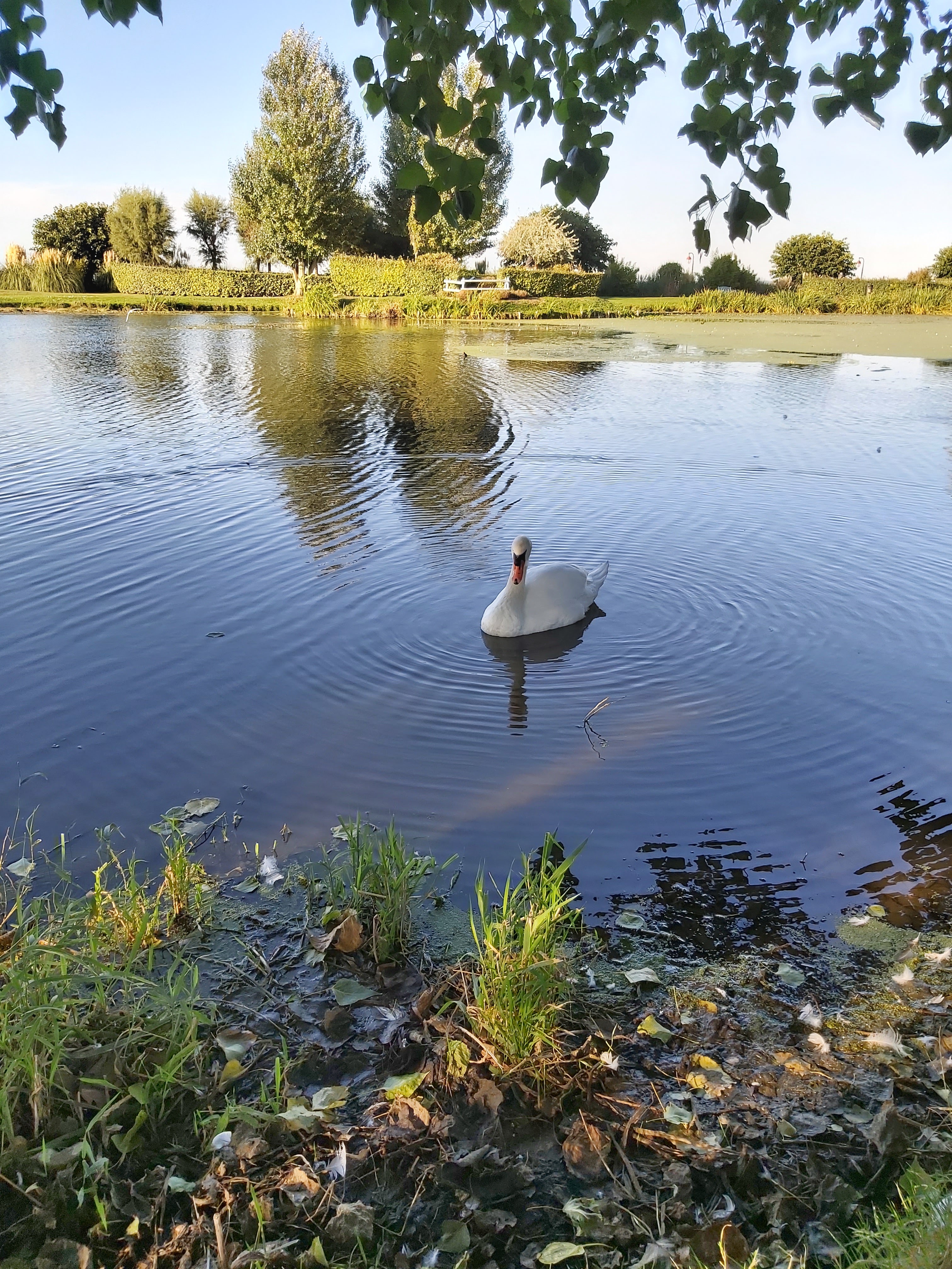 Photo n° 1 de l'avis de Patrick.h fait le 15/09/2019 à 18:51