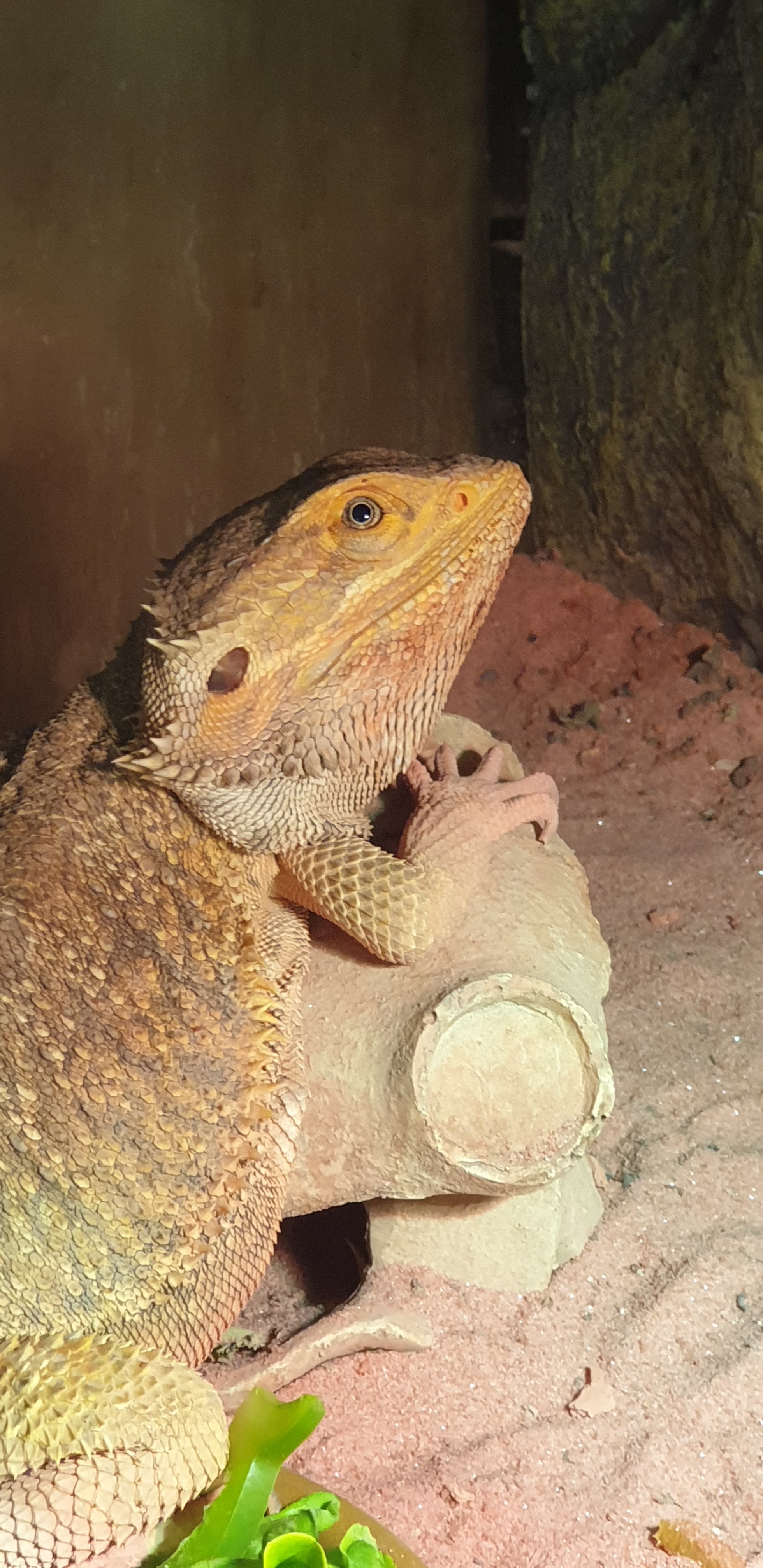 Photo n° 3 de l'avis de Thierry.e fait le 09/08/2019 à 13:19