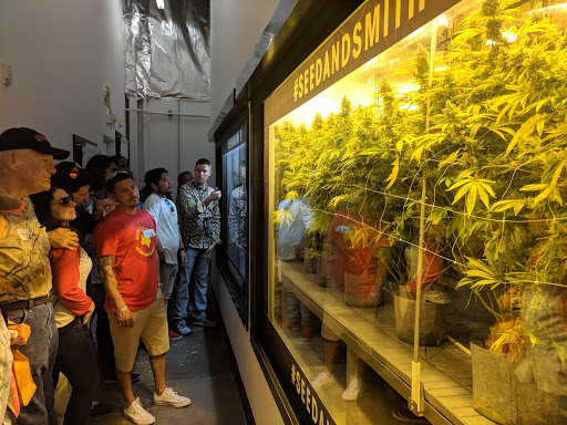 Hotel «My 420 Tours», reviews and photos, 3881 Steele St, Denver, CO 80205, USA