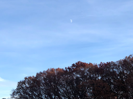 Park «Cass Park», reviews and photos, Cass Avenue, Woonsocket, RI 02895, USA