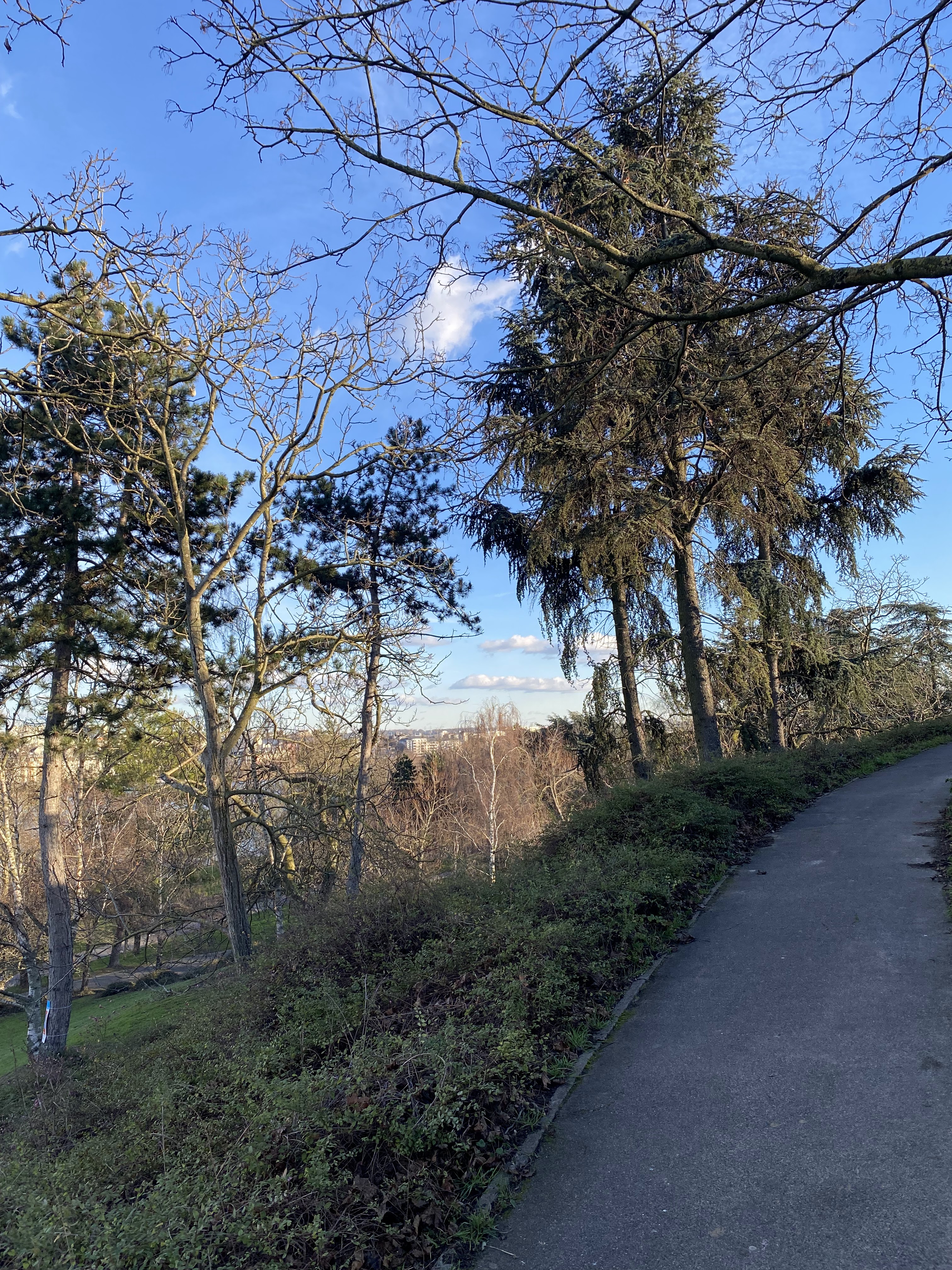 Photo n° 48 de l'avis de jérémie-louis.D fait le 16/01/2024 à 00:35