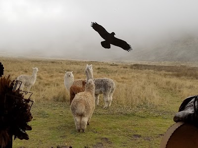 Photos of Lodge Estrella del Chimborazo