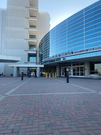 Harbor-UCLA Medical Center Emergency Room