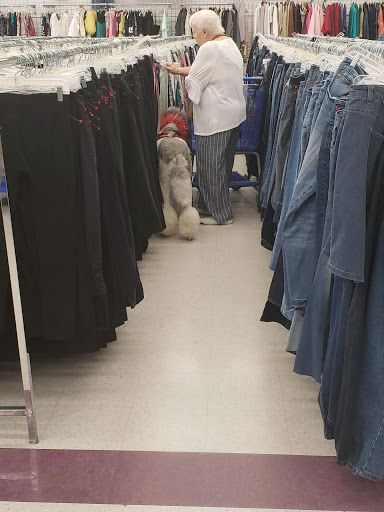 Shopping Mall «Shillington Shopping Center», reviews and photos, 502 E Lancaster Ave, Reading, PA 19607, USA