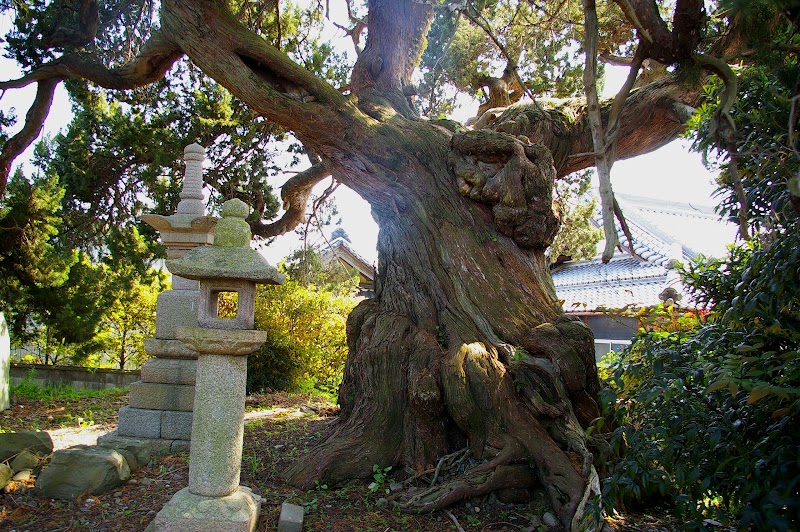 栄福寺