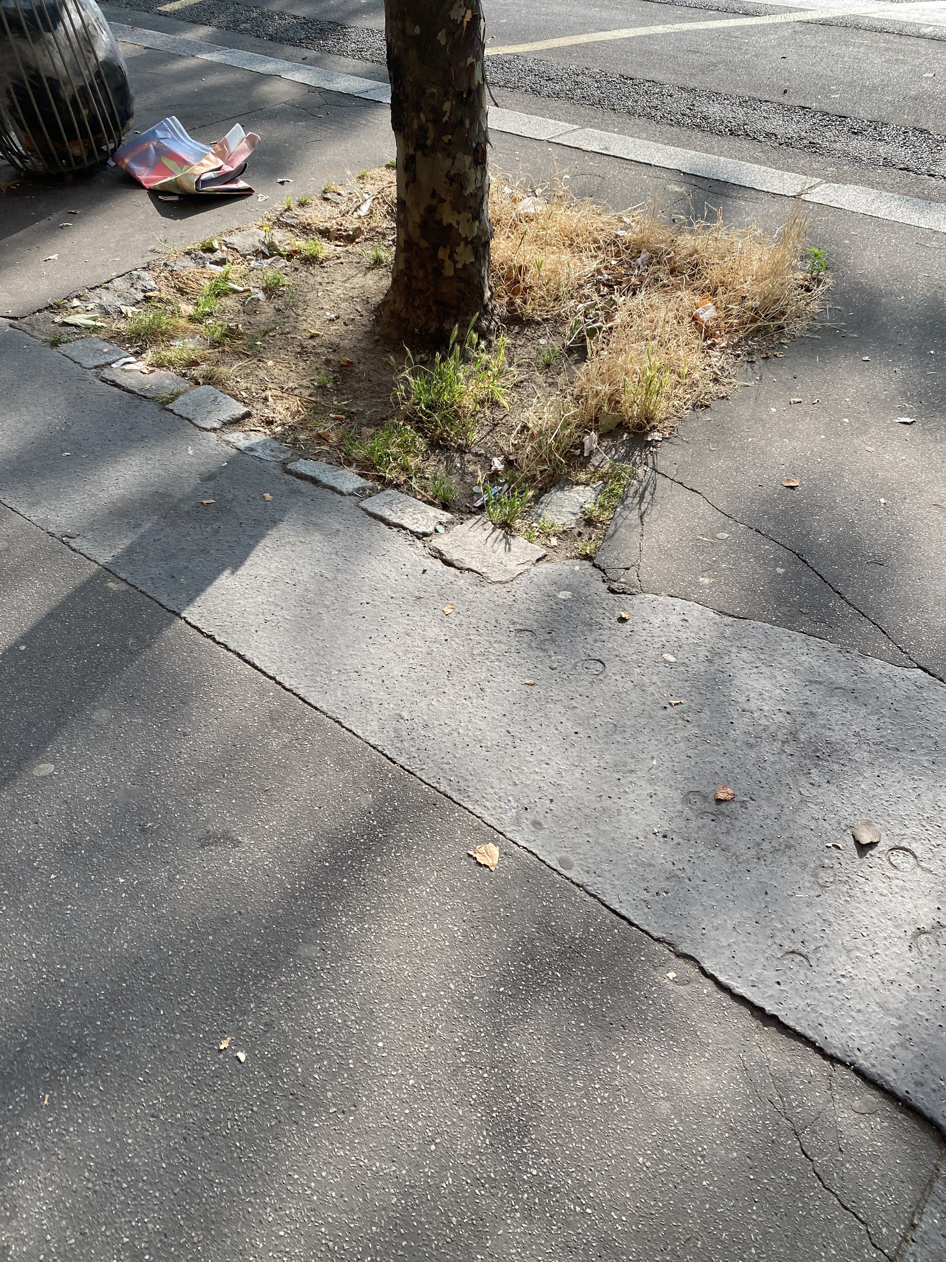 Photo n° 5 de l'avis de lola.a fait le 27/06/2023 à 17:58