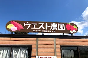 Mother Farm CAFE LAZONA Kawasaki Plaza Store image