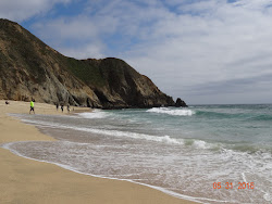 Gray Whale Cove Beach'in fotoğrafı çok temiz temizlik seviyesi ile