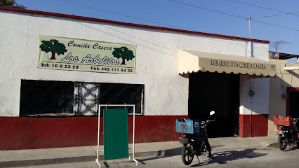 Banquetes D,Gaby - Ignacio Allende 45, Zona Centro, 38940 Yuriria, Gto., Mexico
