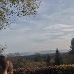 Photo n°1 de l'avis de Fun.E fait le 29/10/2022 à 14:35 sur le  Forsthaus Ilkahöhe Restaurant & Biergarten à Tutzing