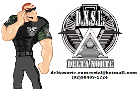 DELTA NORTE SERVIÇOS EMPRESARIAIS