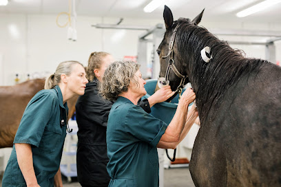 Massey University Equine Veterinary Clinic