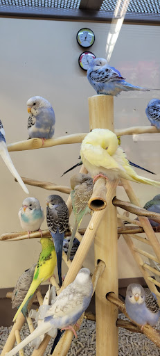 Pet Supply Store «Petco Animal Supplies», reviews and photos, 3426 Highland Ave B, National City, CA 91950, USA