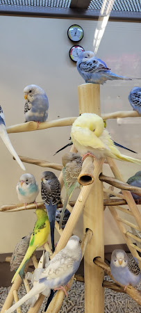 Petco - Photo 6 - Car repair in National City, CA, San Diego