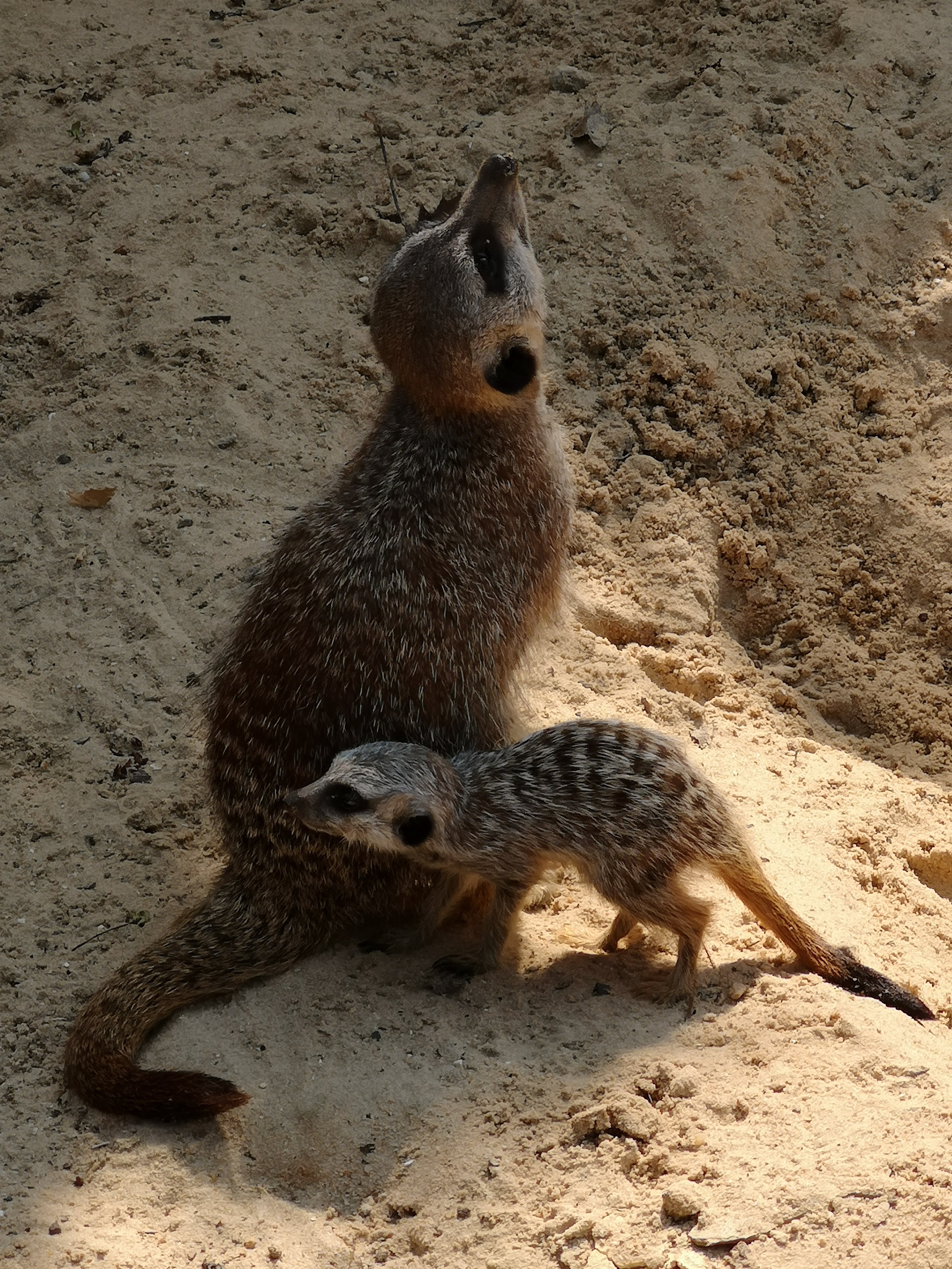Photo n° 18 de l'avis de Bryan.r fait le 24/04/2018 à 19:19
