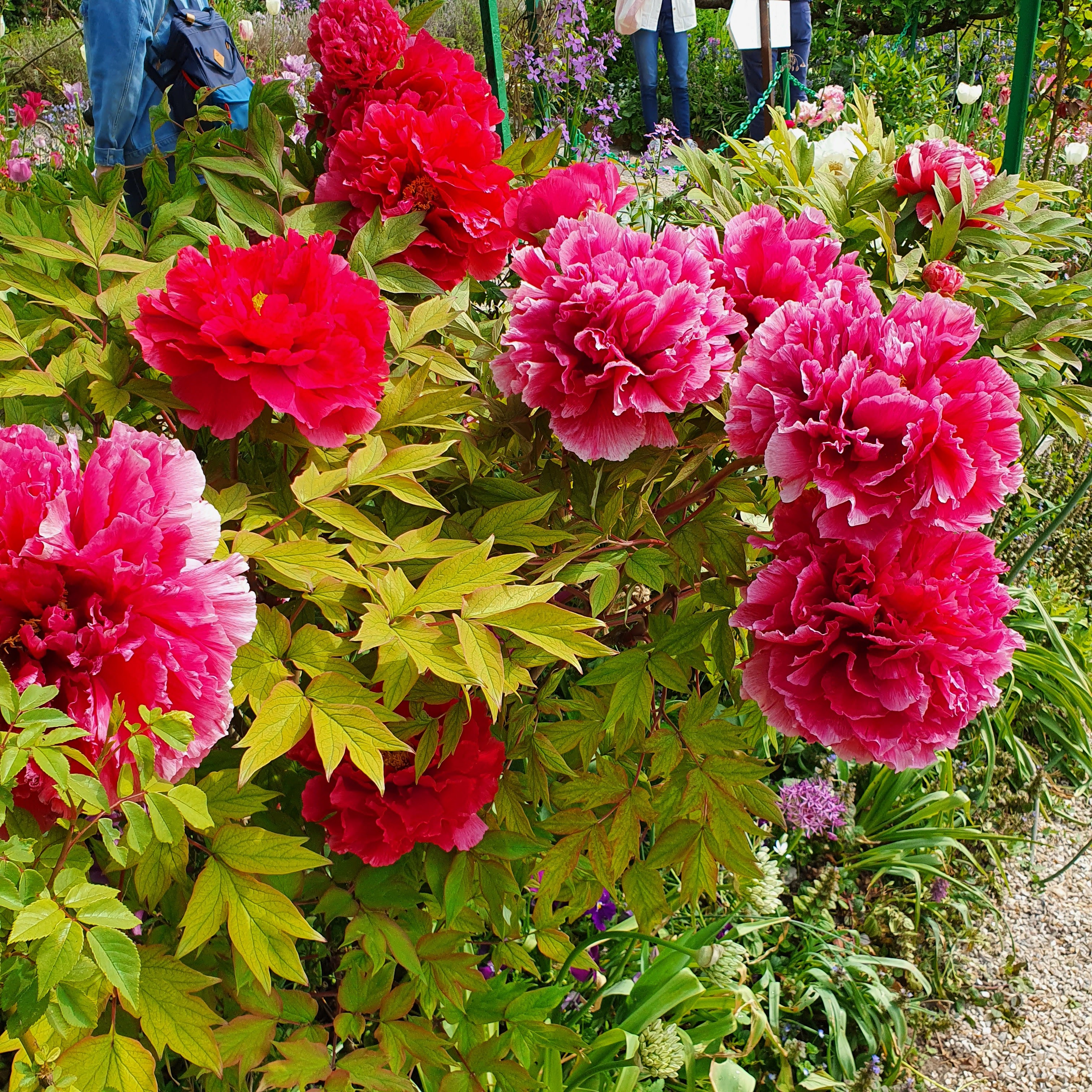 Photo n° 11 de l'avis de CS.. fait le 03/06/2022 à 19:41