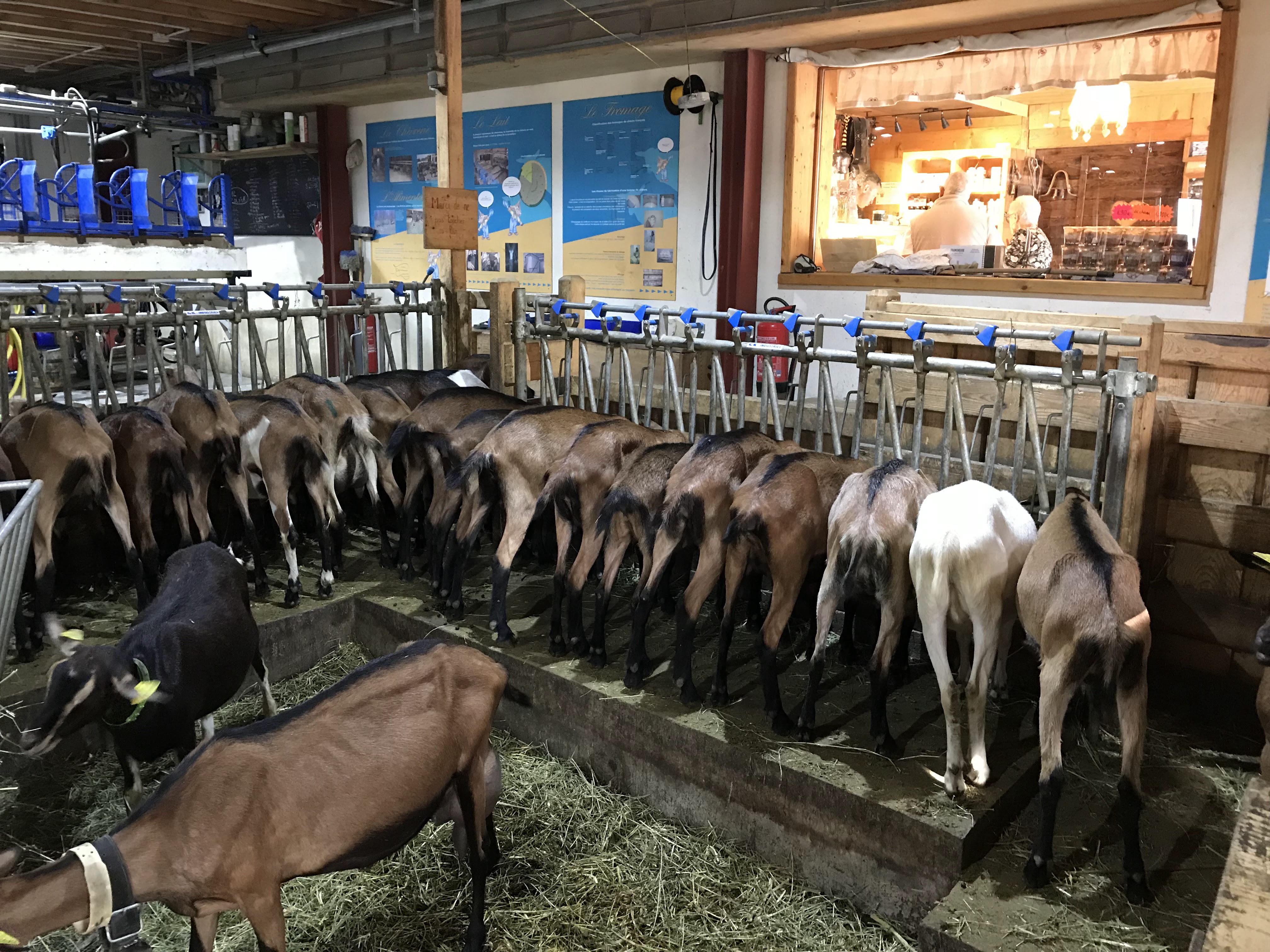 Photo n° 7 de l'avis de Vanessa.. fait le 21/08/2018 à 06:05