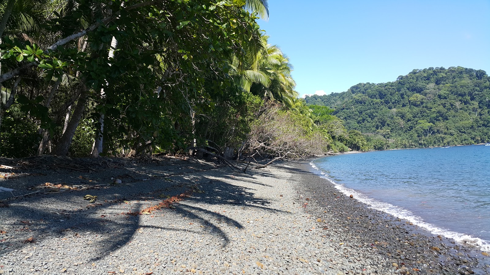 Playa Nicuesa'in fotoğrafı çok temiz temizlik seviyesi ile
