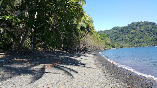 Playa Nicuesa