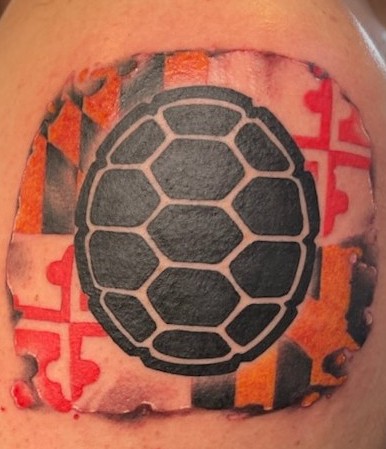 Tattoo Shop «Hawks Electric Tattoo Co.», reviews and photos, 7105 N Armenia Ave, Tampa, FL 33604, USA