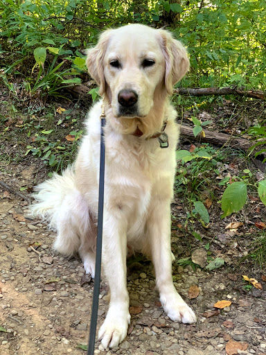 Pet Supply Store «The Natural Pet Enrichment Center», reviews and photos, 6720 Royalton Rd, North Royalton, OH 44133, USA