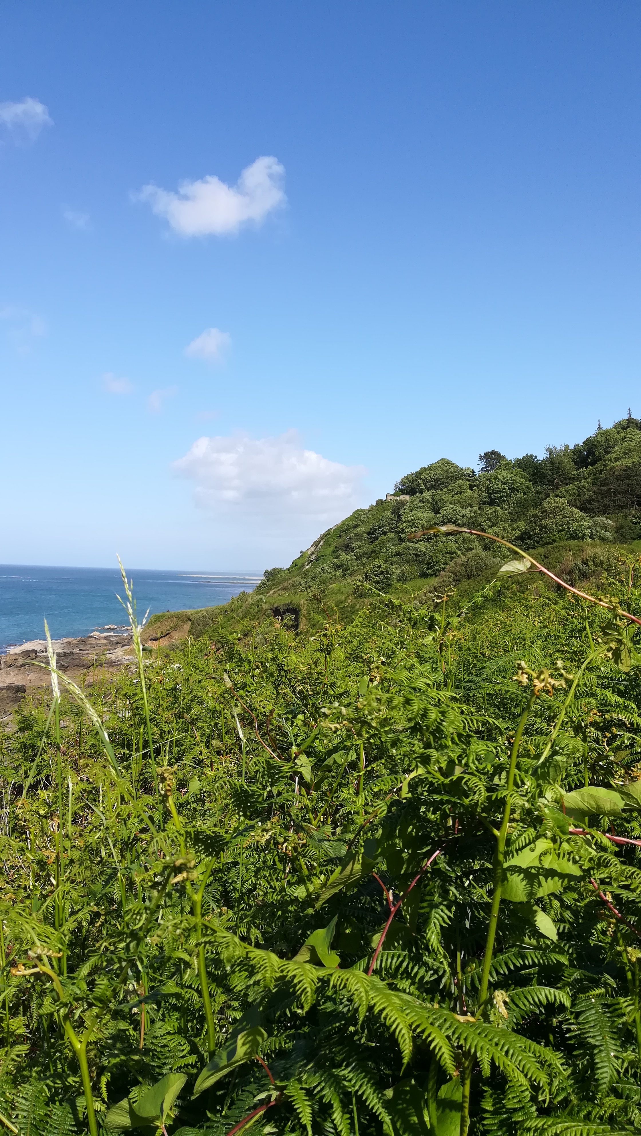 Photo n° 11 de l'avis de Karine.e fait le 25/06/2018 à 05:37