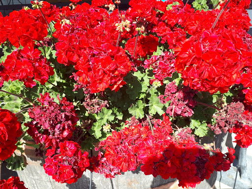 General Store «Dry Creek General Store», reviews and photos, 3495 Dry Creek Rd, Healdsburg, CA 95448, USA