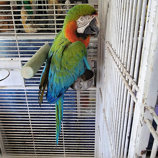 Zoo «Petting zoo Ocala», reviews and photos, 11150 FL-40, Ocala, FL 34482, USA